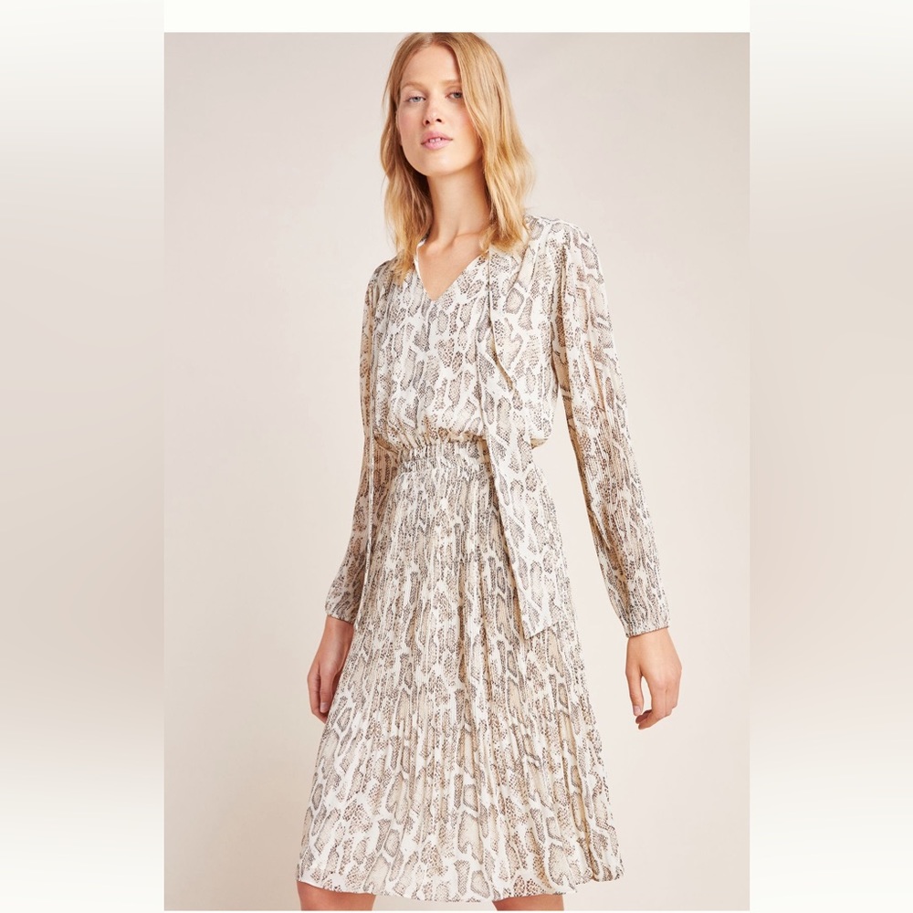 Anthro Pleated Dress